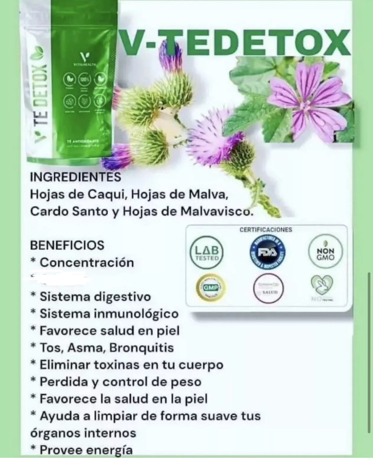V-TEDETOX (Digestive System Detox)