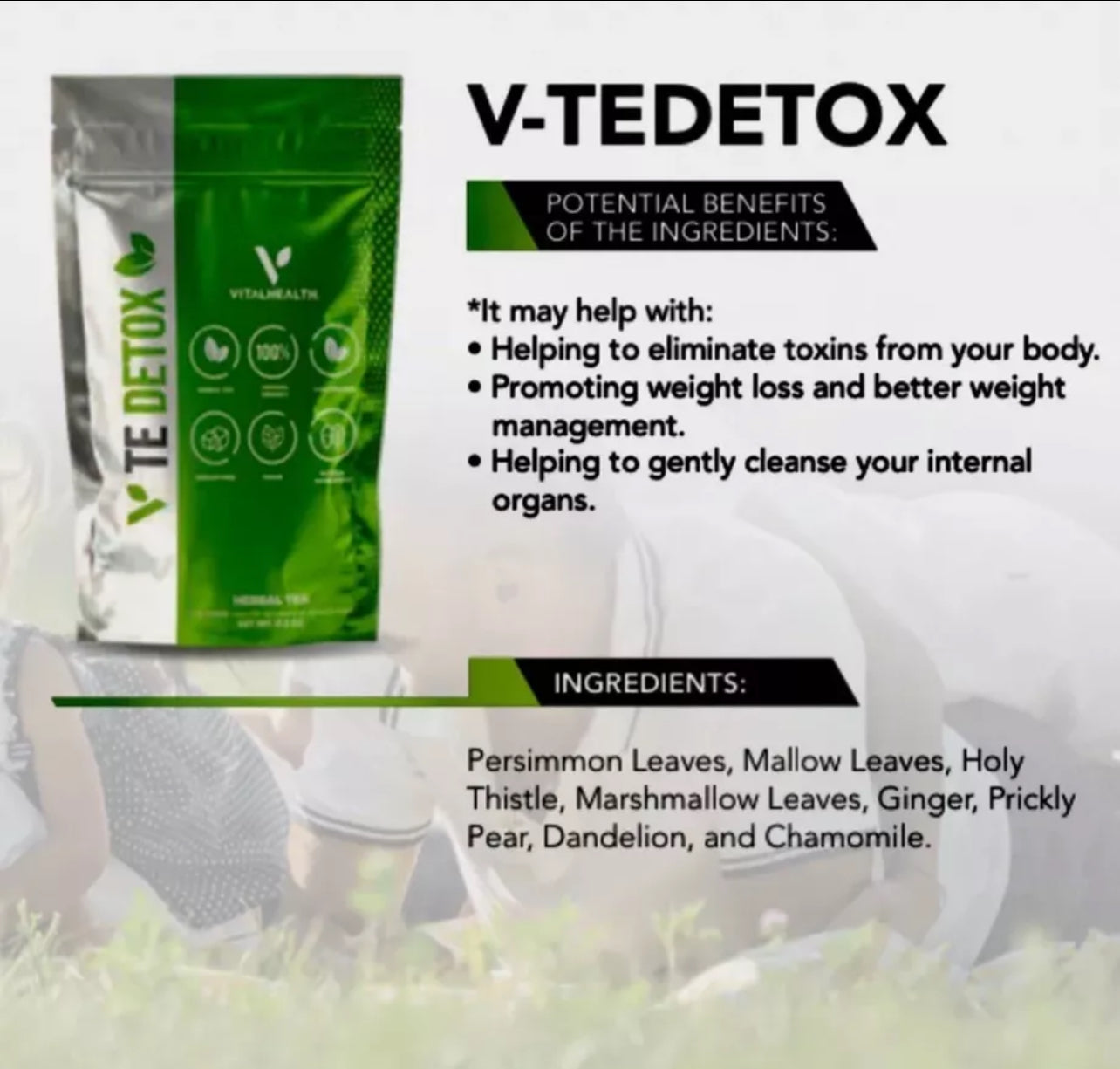 V-TEDETOX (Digestive System Detox)