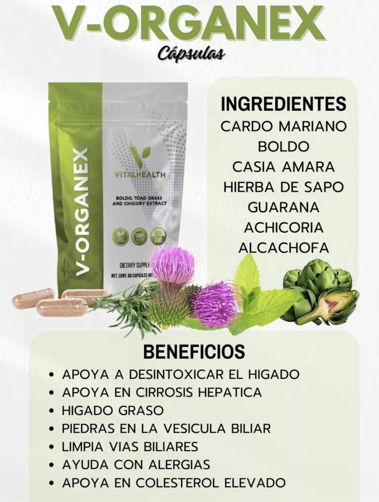 V-ORGANEX (Gallbladder,Liver, Cholesterol)