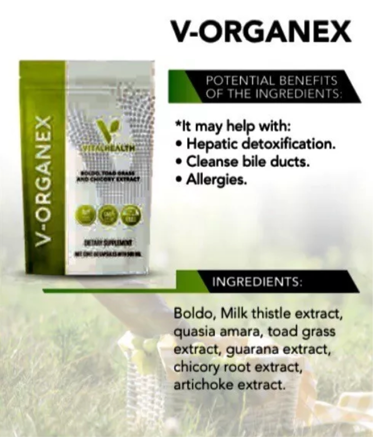 V-ORGANEX (Gallbladder,Liver, Cholesterol)